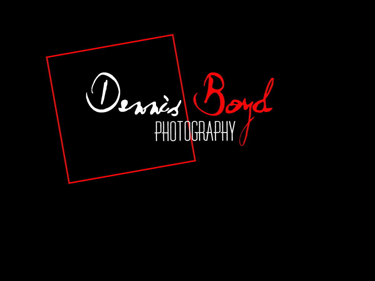 Logo Design by kremi73 for db photo | Design #953673