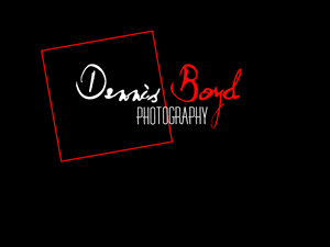 Logo Design by kremi73