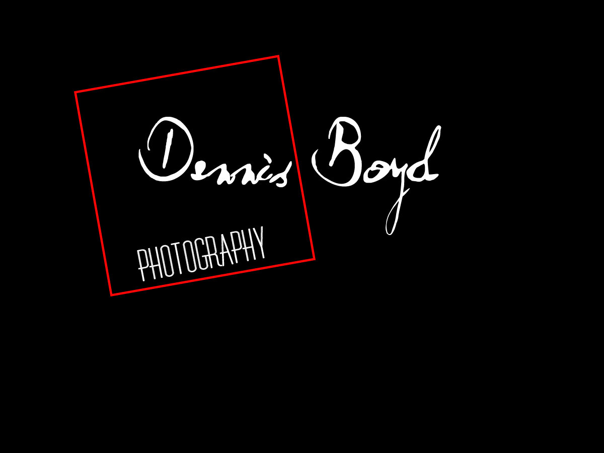 Logo Design by kremi73 for db photo | Design #953676