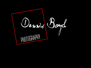 Logo Design by kremi73 for db photo | Design: #953676