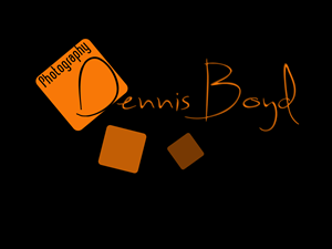 Logo Design by kremi73 for db photo | Design: #953683