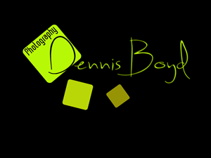 Logo Design by kremi73 for db photo | Design: #953685