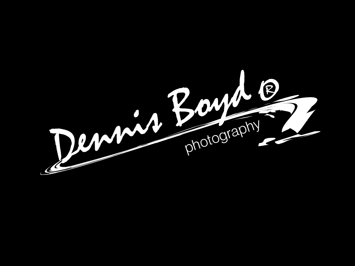 Logo Design by kremi73 for db photo | Design #953688