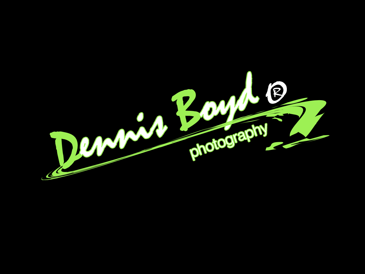 Logo Design by kremi73 for db photo | Design #953689