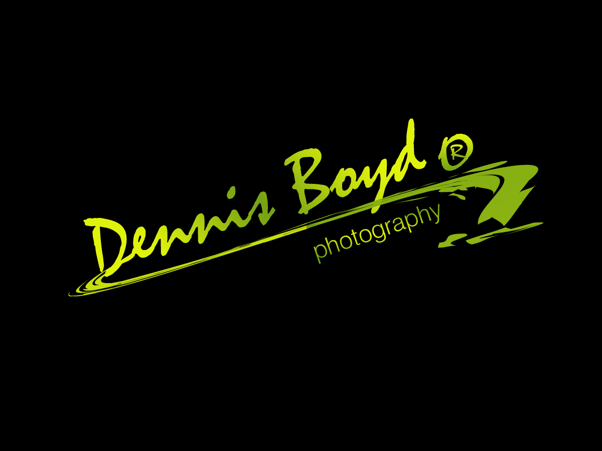 Logo Design by kremi73 for db photo | Design #953690
