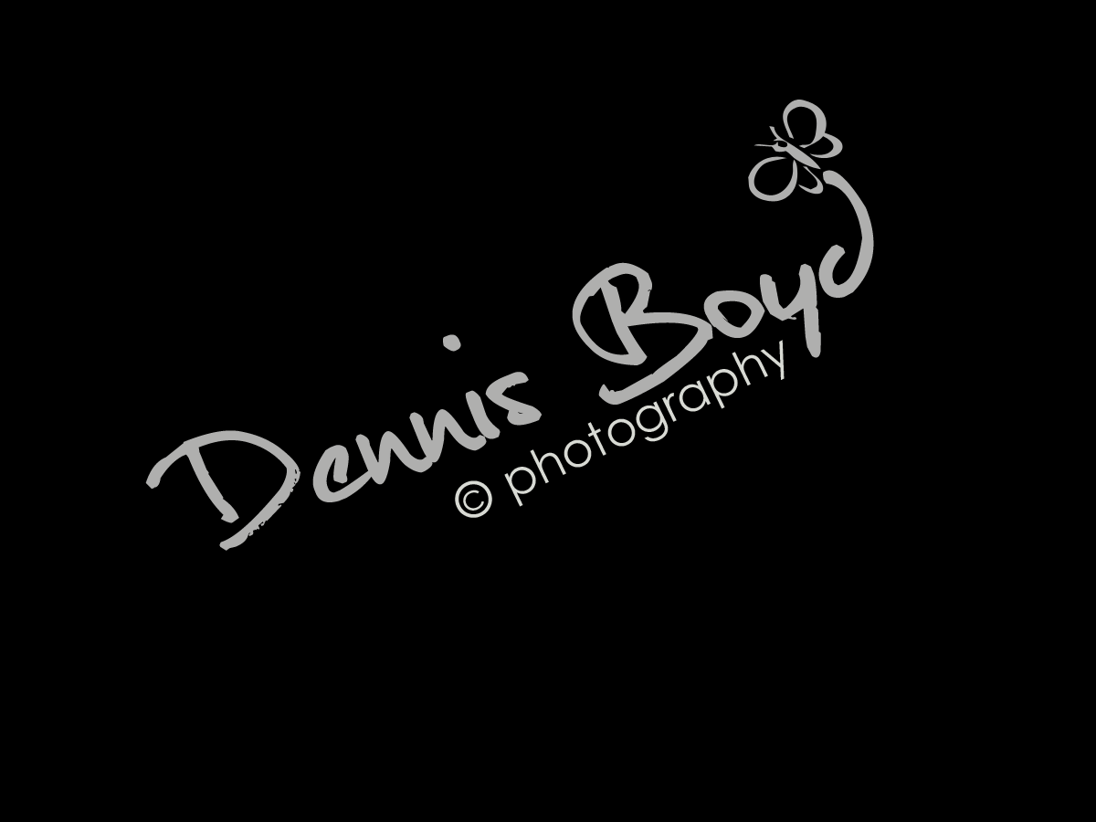 Logo Design by kremi73 for db photo | Design #954595