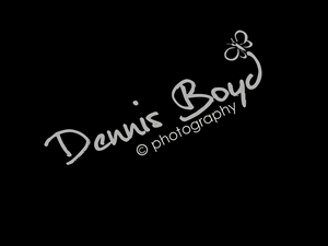 Logo Design by kremi73 for db photo | Design: #954595