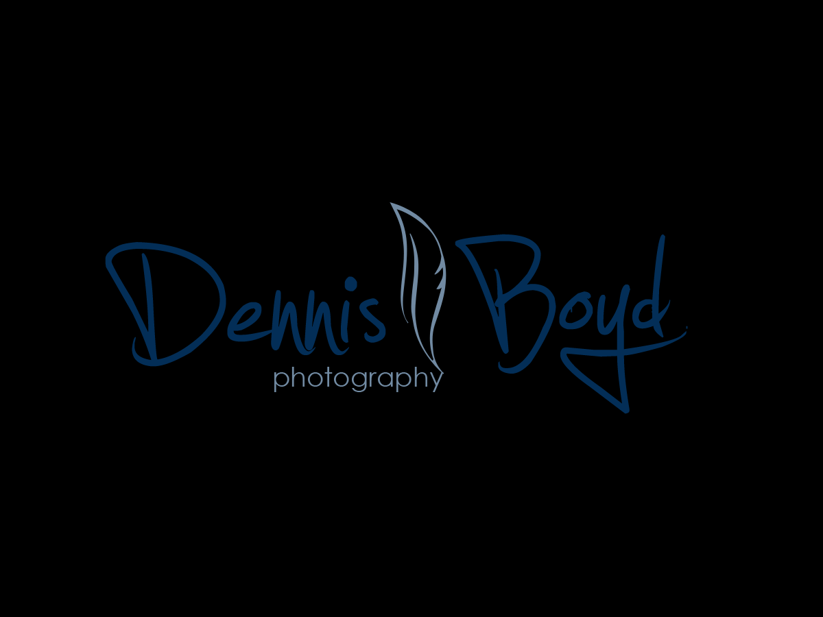 Logo Design by kremi73 for db photo | Design #955608