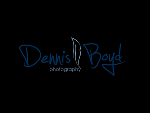 Logo Design by kremi73 for db photo | Design: #955608
