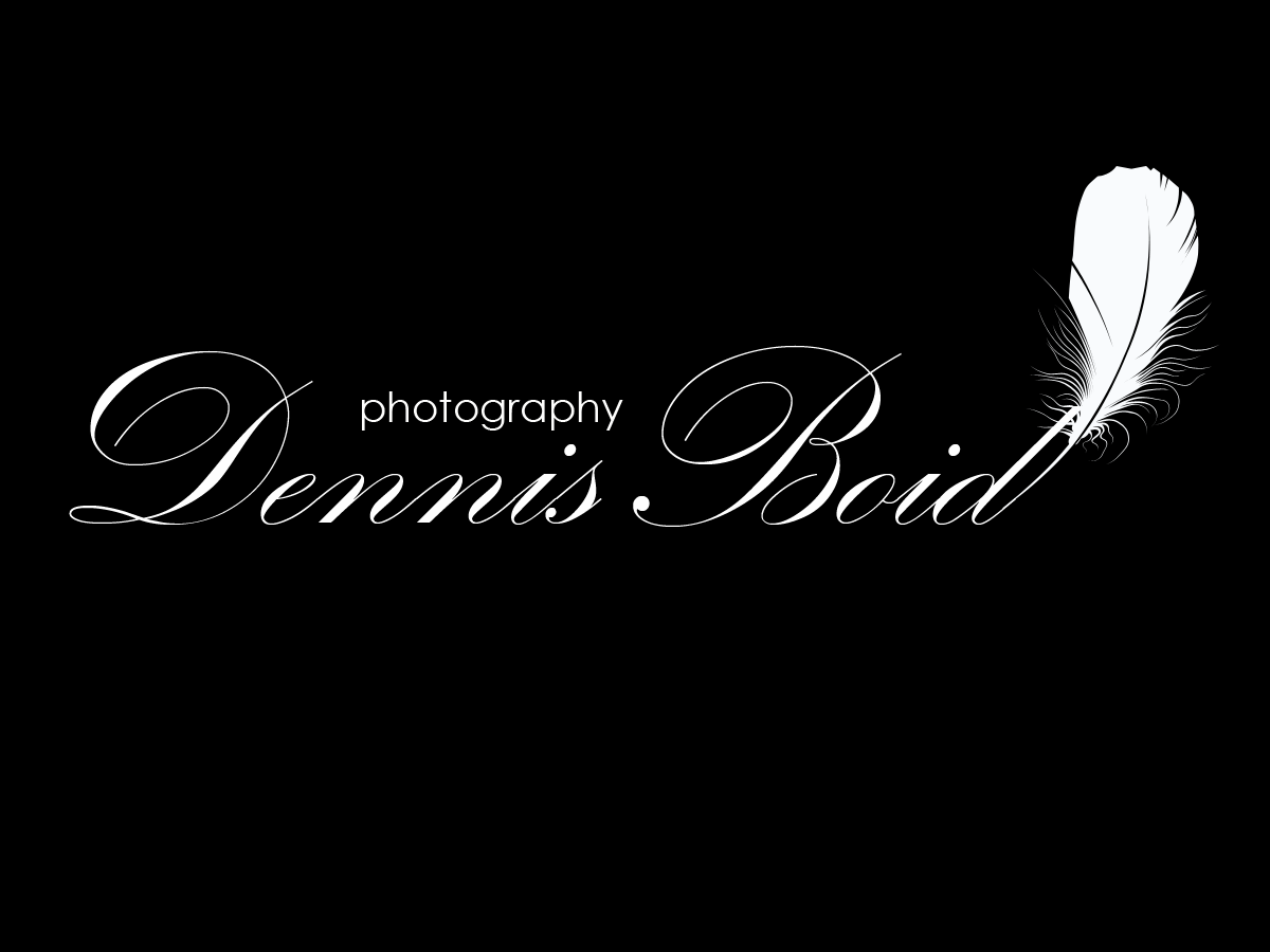 Logo Design by kremi73 for db photo | Design #955615