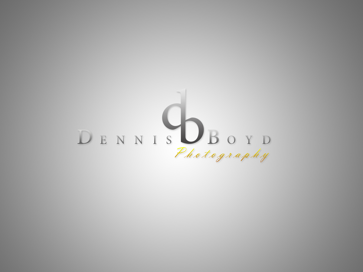 Logo Design by Radiation Designs for db photo | Design #961470