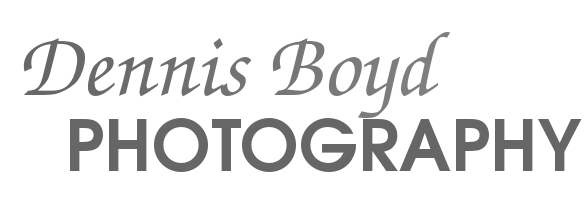 Logo Design by Designer 69967 for db photo | Design #949213