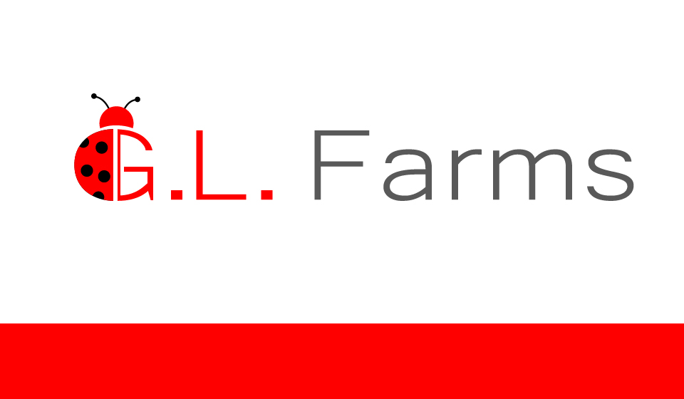 Logo Design by ProLance (Bogdan) for Amber G Acosta | Design #3754168