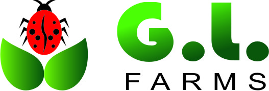Logo Design by fak for Amber G Acosta | Design #3663863