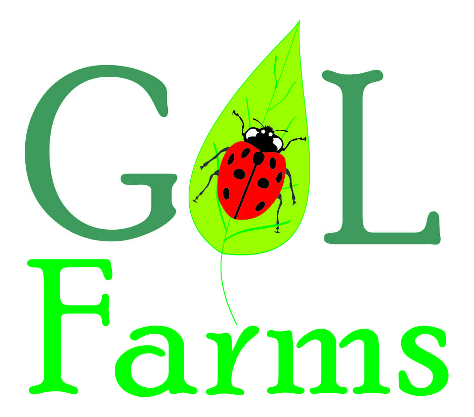 Logo Design by bala for Amber G Acosta | Design #3678770