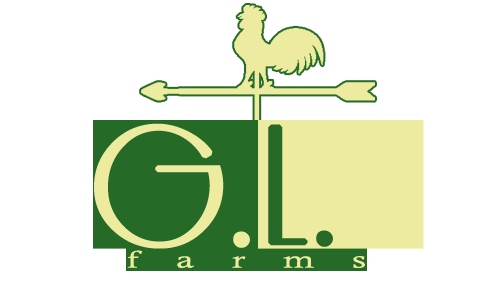 Logo Design by Ezirh for Amber G Acosta | Design #3662841