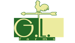 Logo Design by Ezirh for Amber G Acosta | Design: #3662841