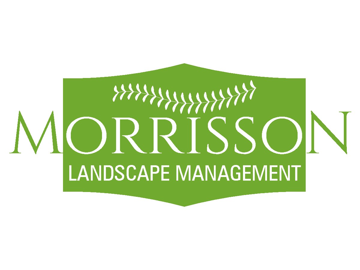 Logo Design by M.Aslam Luhar for Morrison Landscape Maintenance | Design #3710405