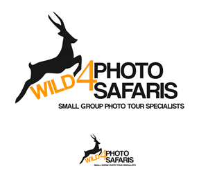 Logo Design by navz for WILD4 | Design #3668188