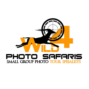 Logo Design by thinkingartt