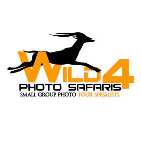 Logo Design by thinkingartt for WILD4 | Design: #3666401