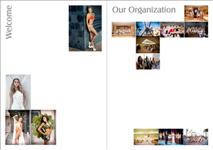 Brochure Design by SHANKAR for this project | Design: #3716984