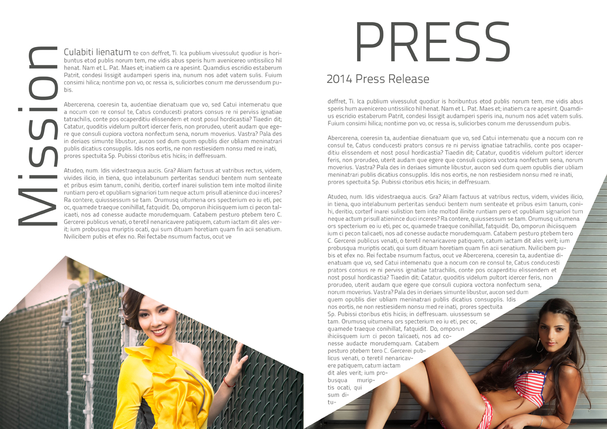 Brochure Design by iTech Graphics for this project | Design #3706528