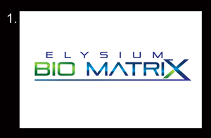 Logo Design by ESolz Technologies