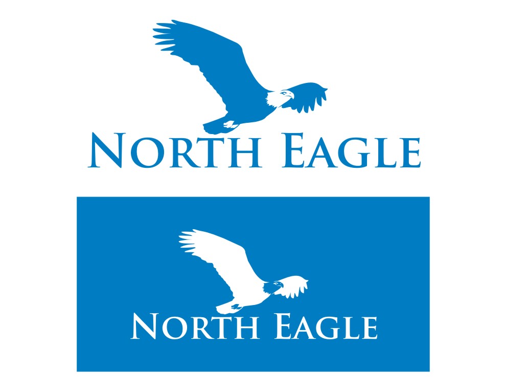 Logo Design by foxwolf for North eagle | Design #3686394