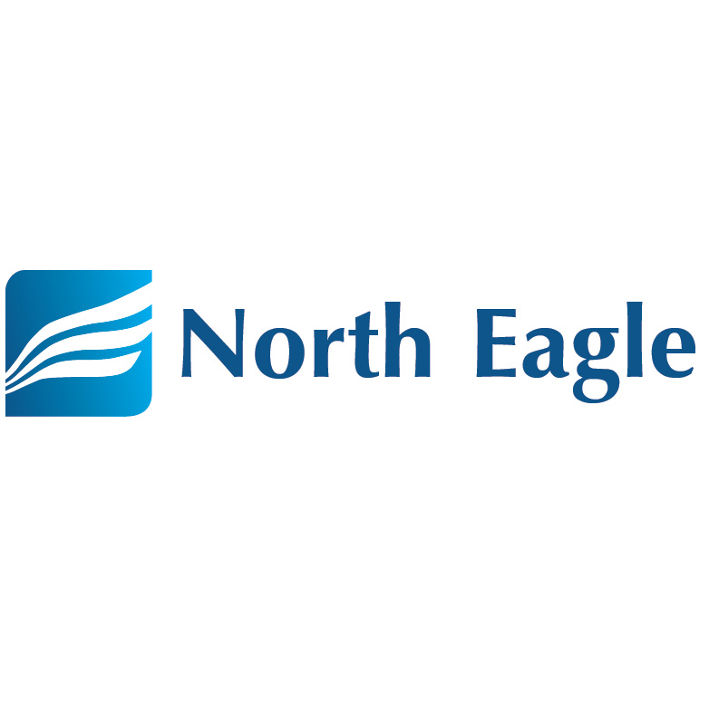 Logo Design by Design Possibilities for North eagle | Design #3700122