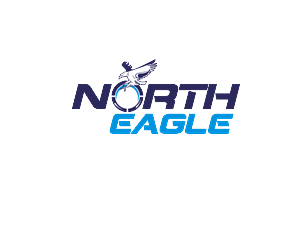 Logo Design by Blueberry for North eagle | Design: #3700320