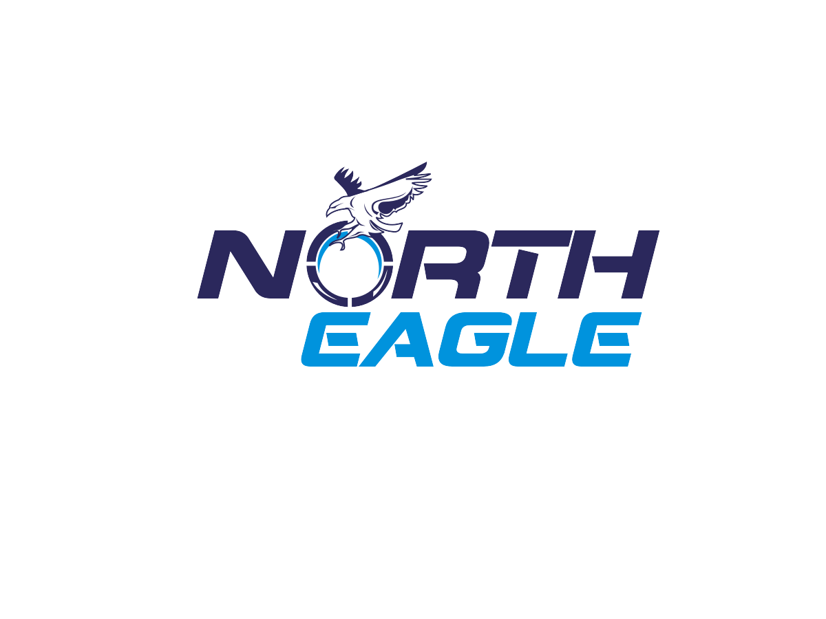 Logo Design by Blueberry for North eagle | Design #3700322
