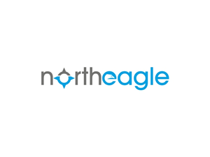 Logo Design by Savitra for North eagle | Design: #3670828