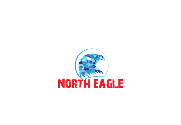 Diseño de Logo por raanvinu para North eagle | Diseño #3691177