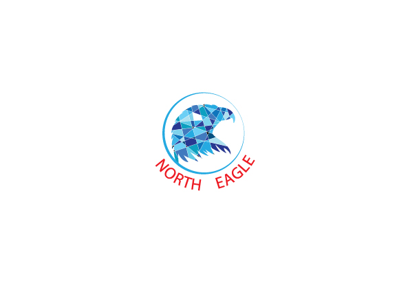 Diseño de Logo por raanvinu para North eagle | Diseño #3691184