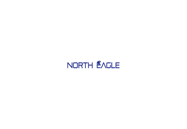 Diseño de Logo por raanvinu para North eagle | Diseño #3703495