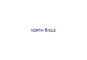 Diseño de Logo por raanvinu para North eagle | Diseño #3703495