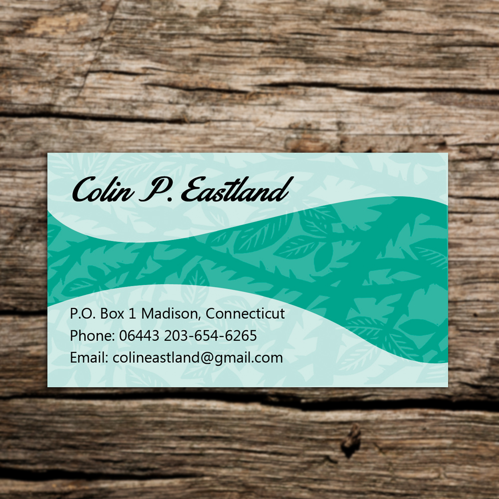 Business Card Design by Sandaruwan for this project | Design #3714061