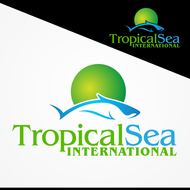 Logo Design by Tectutive for this project | Design #3724992