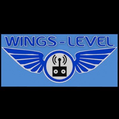 Logo Design by Graphic7Designs3 for Wings-Level | Design #3689725