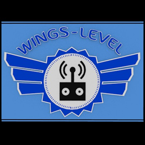 Design de Logo par Graphic7Designs3 pour Wings-Level | Design : #3689729