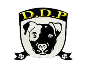 Logo Design by devamadhesh for DDP | Design #3692748