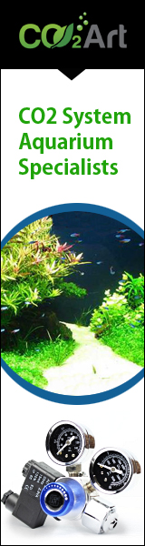 Banner-Design von Janko Janakievski für CO2Art Ltd | Design: #3805984