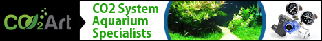 Banner-Design von Janko Janakievski für CO2Art Ltd | Design #3805991