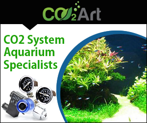 Banner-Design von Janko Janakievski für CO2Art Ltd | Design: #3805993