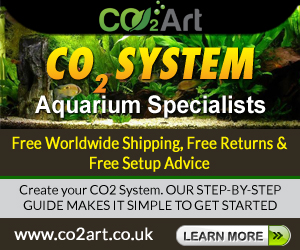 Banner Ad Design by letsgoguru