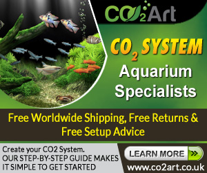 Banner-Design von letsgoguru für CO2Art Ltd | Design: #3699788