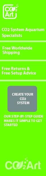 Banner Ad Design by arunasliit for CO2Art Ltd | Design #3713870