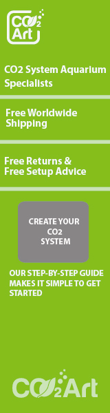 Banner Ad Design by arunasliit