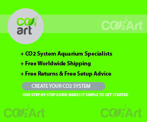 Banner Ad Design by arunasliit for CO2Art Ltd | Design #3713883